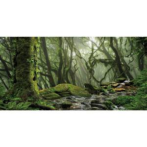 lot 6360 image: AWERT 48x24 Terrarium Backdrop Foggy Forest Stream