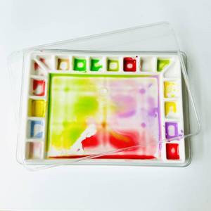 lot 6425 image: Bower Bird Porcelain Watercolor Palette 18-Well