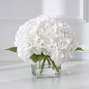 lot 11810 image: Bleum Cade Artificial Hydrangea Flowers in Glass Vase