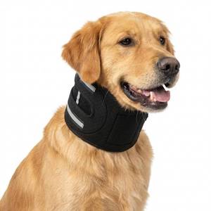 lot 12383 image: Lushnessu Dog Neck Brace with Springs, Adjustable XL