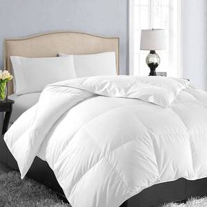 lot 19496 image: EASELAND King Size Down Alternative Comforter, White, 90x102 Inches