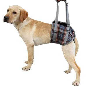 lot 20054 image: ROZKITCH Dog Lift Harness, Grid Pet Rear Support Aid Veterinarian Approved Sling for Old K9 Help With Poor Stability, Back Leg Hip Disabled Joint Injury Elderly Arthritis ACL Rehabilitation Rehab (XL)