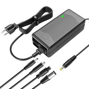lot 2061 image: A 54.6V 2A Electric Bike Charger for 48V Lithium Battery - 5 Plugs