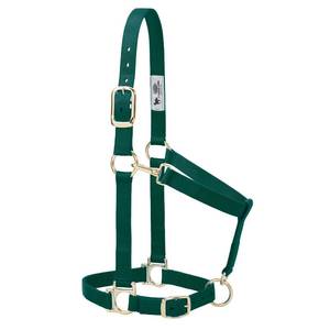 lot 2115 image: Weaver Equine Nylon Horse Halter, Large Horse, Padded & Adjustable, 1 in