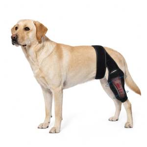 lot 8062 image: Dog Knee Brace Hind & Rear Legs,Dogs Leg Brace for Back Leg Senior Dog (M)