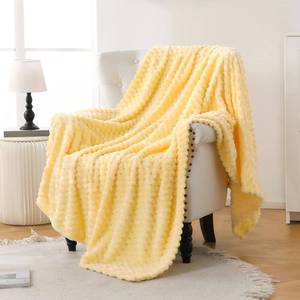 lot 10492 image: Bnuitland Light Yellow Flannel Throw Blanket (50X40 inches), 300 GSM Fleece Cozy Warm Soft Lightweight Bed Sofa Blanket for Babys and Pets, Suitable for All Seasons