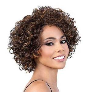 lot 1247 image: UDU Short Curly Human Hair Wig for Black Women, Glueless Wear and Go Wig, Natural Spiral Curls, Lightweight Wig for Daily Wear, Work, Party and Travel