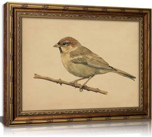 lot 2223 image: Vintage Gold Framed Bird Wall Art Bird Beige Sparrow Painting Picture Wall Decor Sparrow on Branch Poster Print Artwork for Living Room Bathroom Bedroom Gallery Home Decoration
