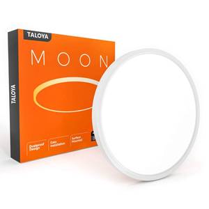 lot 3871 image: TALOYA Flush Mount Ceiling Light,12 Inch,20W,5000K Daylight