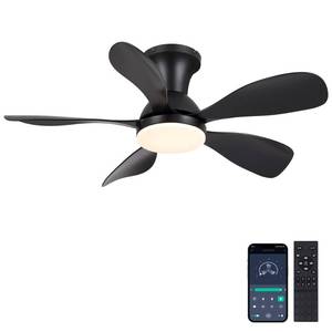 lot 19592 image: NKPU 33Inch Black Low Profile Ceiling Fans with Lights and RemoteAPP Control, Reversible DC Motor, 6 Speeds, Modern Flush Mount Ceiling Fan with 5 Blades for Outdoor Patio,Small Room,Bedroom