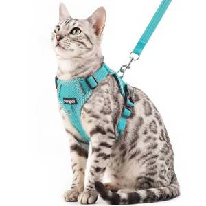 lot 20240 image: pangdi Cat Harness and Leash Set, Soft Mesh Cat Vest, Turquoise, XXL