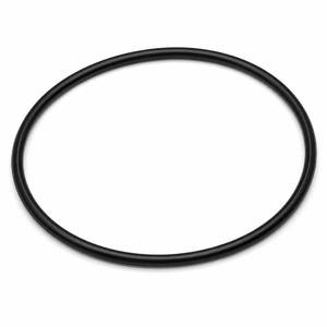lot 20387 image: Filter Seal Compatible with Hayward DEX2422Z2 for Hayward Pro-Grid DE and SwimClear Filters (1-Pack)