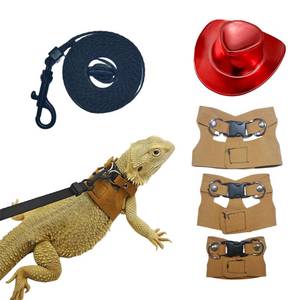 lot 6249 image: Reptile Pets Leash Harness Set with Jackets and a Party Theme Hat for Bearded Dragon Lizard, Leopard Gecko and Other Small Animal Pets, Outdoor Play, Red