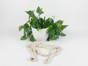 lot 12096 image: White Ceramic Planter with Trailing Green Plant & Macram� Hanger