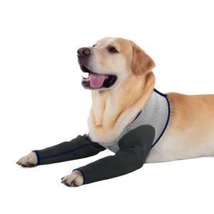lot 14160 image: Coodeo Dog Recovery Sleeves, Cone Collar Alternative, Abrasion Resistant Dog Recovery Suit, Washable 2.5mm Thick and Waterproof, Pet Wounds Prevent Licking, Biting (Grey, M)