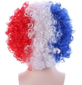 lot 2418 image: Patriotic clown wig - Stock images may not match actual product images