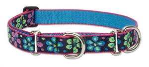 lot 2099 image: LupinePet Originals 1 Flower Power 15-22 Martingale Collar for Medium and Larger Dogs
