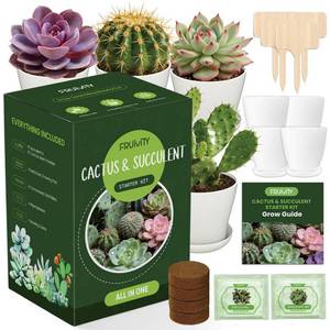 lot 4209 image: Succulent & Cactus Seed Kit for Planting, Premium Cactus & Succulent Starter Kit 4 Growing Pot, Markers, Seeds Mix, Soil - Beginner Indoor Cacti Kit �� House Plant - Men Women DIY Gift Kits