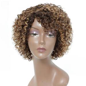 lot 7452 image: HUA Short Curly Human Hair Wigs for Black Women P42730 Short Curly Wigs for African American Glueless Human Hair Wigs