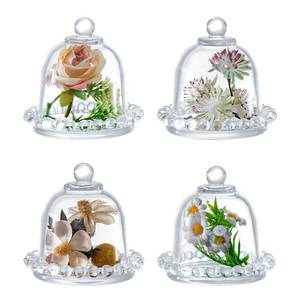 lot 11023 image: MyGift Set of 4 Mini Glass Cloche Domes with Scalloped Base