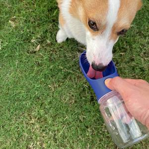 lot 2268 image: WePet Portable Dog Water Bottle, 12 OZ, Leak Proof Puppy Water Dispenser with Drinking Feeder for Pets Outdoor Walking, Hiking, Travel, Food Grade Plastic