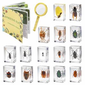 lot 2272 image: 15 Insect specimens,Real Specimens of Various Butterflies and Beetles Made of Resin, Used for Science Classroom Science Education Animal Specimens, Bug Preserved,Oddities, Biology (15 Pcs Beetles)