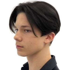 lot 6074 image: Kaneles Mens Short Black Straight Wigs Natural Middle Part Synthetic Hair Daily Cosplay Costume Fluffy Wig(Black)