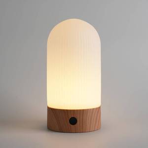 lot 6161 image: WEILAILUX Rechargeable Waterproof Shower Lamp, 2700K Warm LED (Wood Grain)