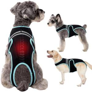 lot 12285 image: LETSQK Dog Back Brace for Surgery Recovery