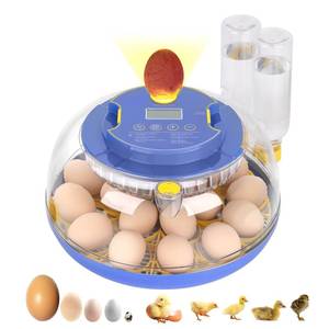 lot 19787 image: 18 Egg Incubator, for Hatching Eggs with Automatic Egg Turner, Temperature & Humidity Control, Built-in Egg Candler, Ventilation, Incubation Days Display, for Chicken, Duck, Goose and Quail Eggs