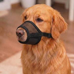 lot 2288 image: OHNSO Dog Muzzle Medium Sized Dogs - Adjustable Strap with Soft Air Mesh Muzzle for Medium Sized Dog  Mussle to Stop Biting Barking and Chewing  Allows Panting and Drinking