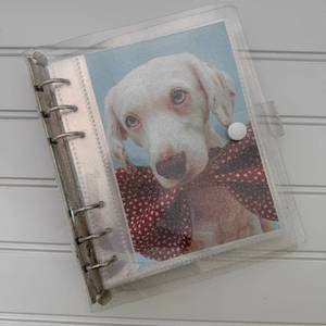lot 10282 image: Photo Album For 2X6 Photo Booth Slip In Strips And 4X6 Pictures - 6 Ring Notebook Binder With 20 2 By 6 Sleeves - Fits 80 Photobooth Prints (CLEAR SPARKLE, 4X6)