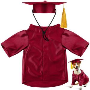 lot 10295 image: Bunnycool Dog Graduation Cap and Gown 2026, Traditional, Marnoon, M