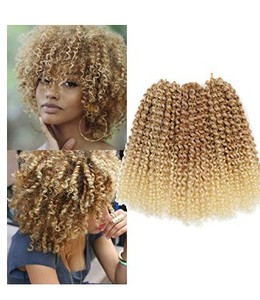 lot 2391 image: Sharopul Kinky Curl Short Hairstyle 8 Inch 3pcspack Afro Kinky Twist Hair Blonde Soft Synthetic Crochet Braiding Hair Extention (blonde)