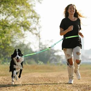 lot 2452 image: Roses&Poetry Hands Free Dog Leash for Medium Large Dogs Heavy Duty, No Pull Bungee Dog Running Waist Leash for Walking Training with Car Seatbelt 4-6FT