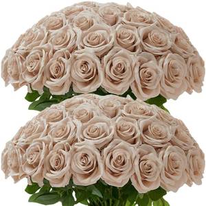 lot 3962 image: Carlita��s Blooms 50Pcs Nude Roses Artificial Flowers Artificial Silk Roses Bulk,Fake Roses Flower with Stems Realistic Flowers for Wedding Centerpiece Home Party Decor