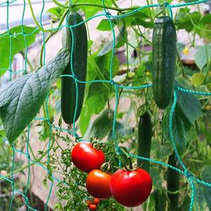 lot 10438 image: Trellis Netting for Climbing Plants - Heavy Duty Garden Trellis Netting for Cucumber, Vine, Fruits & Vegetables Tomato Plants Trellis Net, Climbing Vining Plants (1-Pack 8.2 x 6.6Ft)