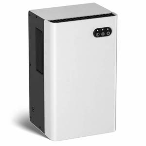 lot 11169 image: ToLife Dehumidifier