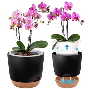 lot 14237 image: Sxueg Self Watering Orchid Pots for Indoor Plants,5.8 Inch Macetas para Orqudeas,Flower Pots for Indoor Plants with Holes(Black)