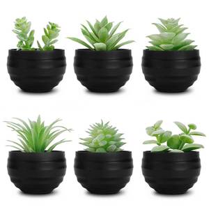 lot 6416 image: Der Rose 6 Pack Fake Succulents Plants in Black Pots for Halloween Decor