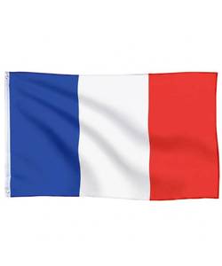 lot 6460 image: Mr. Pen- World Cup 2026 French Flag, 3x5 ft