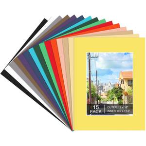 lot 8301 image: 15 Pack 12x16 Picture Mats for 9x12 Photos, Mixed Colors, Beveled