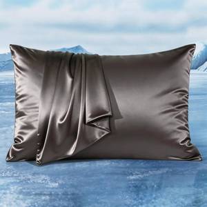 lot 14342 image: LUXEAR Cooling Satin Pillow Cases for Hot Sleepers, Dark Gray,1 Pack