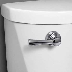 lot 20183 image: Korky StrongARM Series 6054BP Tank Flush Lever  Angled  Front  Left  Right  Side Mounting  Metal  Chrome