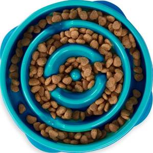 lot 20226 image: Outward Hound Fun Feeder Slo Bowl �� Medium 2��Cup Capacity, Slow Feeding, Small to Medium Dogs & Cats, Non-Slip, Turquoise, Drop Pattern
