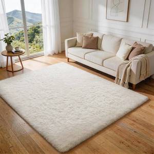 lot 1728 image: Ophanie Rugs for Living Room, Upgrade Non-Slip Fluffy Soft 5x8 Area Rug, Shag Large Fuzzy Plush Carpets for Bedroom Ivory, Shaggy Kids Dorm Home Decor with Over 99 pcs Pile fibers