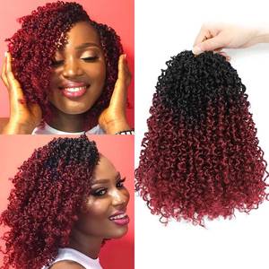 lot 2436 image: Aksice 10 Inch 8 Packs Yanky Twist Crochet Hair for Women Pre-looped Mini Twist Hair Bohemian Passion Twist Crochet Hair Boho Crochet Braids Synthetic (1BBUG#)