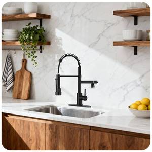 lot 3038 image: RNDIOZD Kitchen Faucet