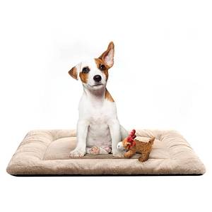 lot 5255 image: Dog Crate Pad Washable Dog Bed for Crate Medium Cozy Mat 30-Inch Cream
