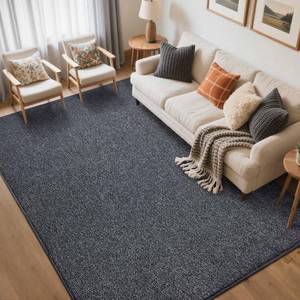 lot 9648 image: 5x7 Area Rug Non-Slip Washable Soft Thin for Living Room Bedroom (Grey)